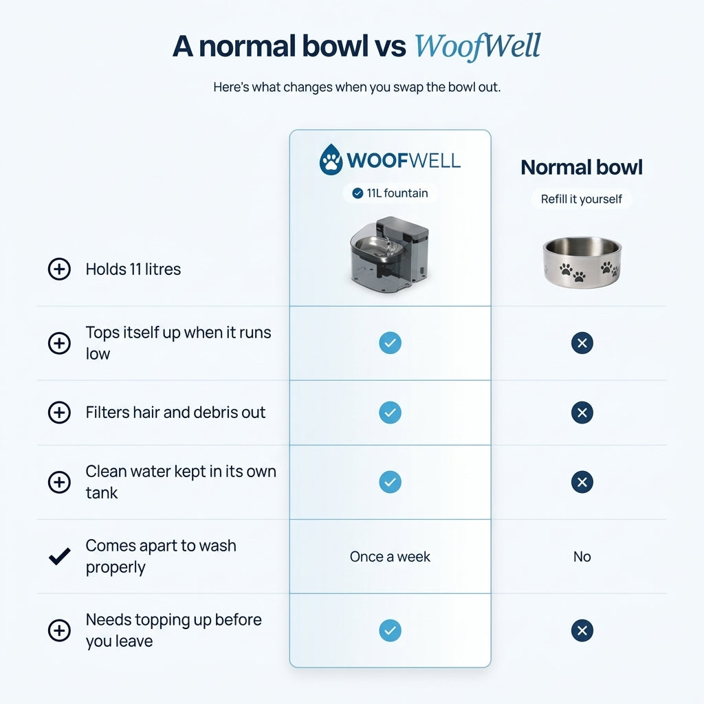 WoofWell Automatic Filtering Dog Water Fountain