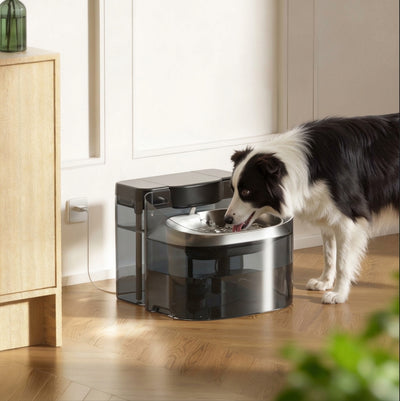 WoofWell Automatic Filtering Dog Water Fountain