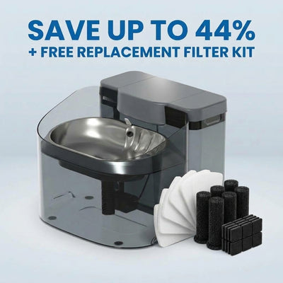 WoofWell Automatic Filtering Dog Water Fountain