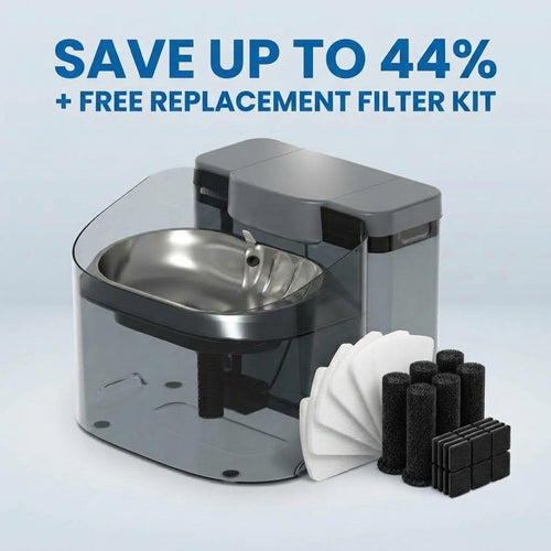 WoofWell Automatic Filtering Dog Water Fountain